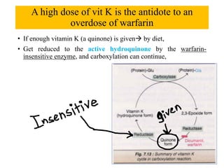 A high dose of vit K is the antidote to an
overdose of warfarin
• If enough vitamin K (a quinone) is givenà by diet,
• Get reduced to the active hydroquinone by the warfarin-
insensitive enzyme, and carboxylation can continue,
 