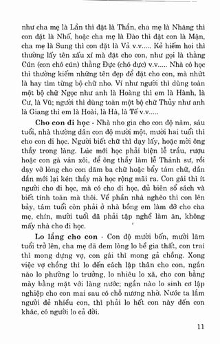 Việt nam phong tục