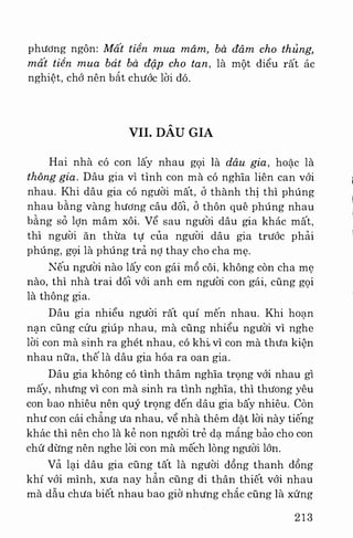 Việt nam phong tục