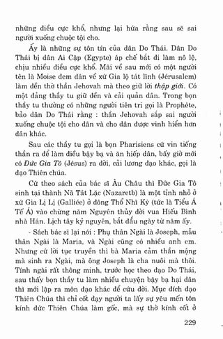 Việt nam phong tục