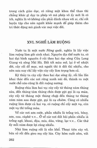 Việt nam phong tục