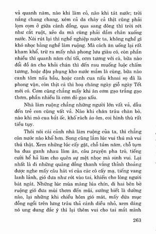 Việt nam phong tục