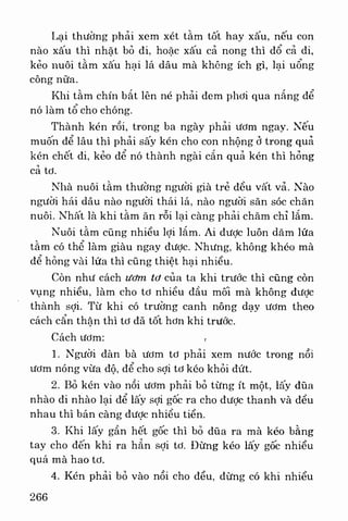 Việt nam phong tục