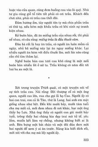 Việt nam phong tục