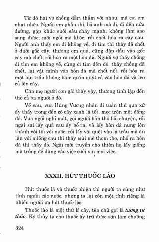 Việt nam phong tục