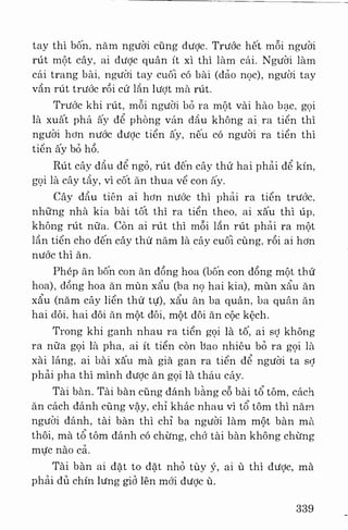 Việt nam phong tục