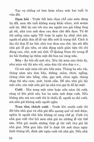 Việt nam phong tục