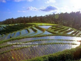 Đồng xanh lúa thẳng cánh bay cò bay
Đưa nước về làng quê sáng rồi.
 