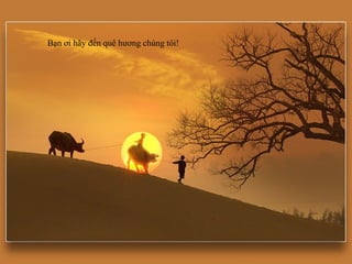 Bạn ơi hãy đến quê hương chúng tôi!
 