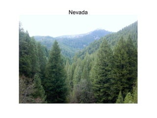 Nevada 
 