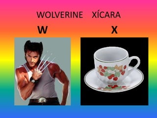 WOLVERINE XÍCARA
W X
 