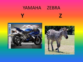 YAMAHA ZEBRA
Y Z
 