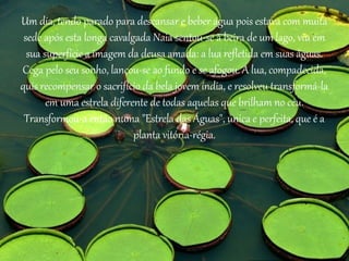 Um dia, tendo parado para descansar e beber água pois estava com muita
sede após esta longa cavalgada Naia sentou-se à beira de um lago, viu em
sua superfície a imagem da deusa amada: a lua refletida em suas águas.
Cega pelo seu sonho, lançou-se ao fundo e se afogou. A lua, compadecida,
quis recompensar o sacrifício da bela jovem índia, e resolveu transformá-la
em uma estrela diferente de todas aquelas que brilham no céu.
Transformou-a então numa "Estrela das Águas", única e perfeita, que é a
planta vitória-régia.
 