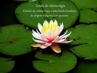 Lenda da vitória-régia
A lenda da vitória-régia é uma lenda brasileira
de origem indígena tupi-guarani.
 