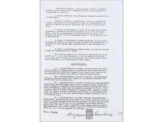 Vitorino Moreira fFernandes