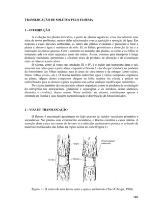 140 
TRANSLOCAÇÃO DE SOLUTOS PELO FLOEMA 
1 – INTRODUÇÃO 
A evolução das plantas terrestres, a partir de plantas aquáticas, criou inicialmente uma 
série de novos problemas, muitos deles relacionados com a aquisição e retenção de água. Em 
resposta a essas pressões ambientais, as raízes das plantas evoluíram e passaram a fixar a 
planta e absorver água e nutrientes do solo. Já, as folhas, permitiram a absorção de luz e a 
realização das trocas gasosas. Com o aumento no tamanho das plantas, as raízes e as folhas se 
tornaram cada vez mais separadas umas das outras. Assim, sistemas para transporte à longa 
distância evoluíram, permitindo a eficiente troca de produtos de absorção e de assimilação 
entre as raízes e a parte aérea. 
O xilema, como já vimos nas unidades III e IV, é o tecido que transporta água e sais 
minerais das raízes para a parte aérea, enquanto o floema é o tecido que transloca os produtos 
da fotossíntese das folhas maduras para as áreas de crescimento e de estoque (como raízes, 
frutos, folhas jovens, etc.). O floema também redistribui água e vários compostos orgânicos 
na planta. Alguns destes compostos chegam na folha madura via xilema e podem ser 
redistribuídos para as demais regiões da planta sem sofrer qualquer modificação metabólica. 
No xilema também são encontrados solutos orgânicos, como os produtos da assimilação 
do nitrogênio (os aminoácidos, glutamina e asparagina, e os ureídeos, ácido alantóico, 
alantoína e citrulina), dentre outros. Nesta unidade, no entanto, estudaremos apenas a 
estrutura do floema e suas funções na translocação e distribuição de fotoassimilados. 
2 – VIAS DE TRANSLOCAÇÃO 
O floema é encontrado geralmente no lado externo de tecidos vasculares primários e 
secundários. Nas plantas com crescimento secundário, o floema constitui a casca interna. A 
remoção desta casca em ramos de árvores (o conhecido anelamento) provoca o acúmulo de 
materiais translocados das folhas na região acima do corte (Figura 1). 
Figura 1 – O tronco de uma árvore antes e após o anelamento (Taiz & Zeiger, 1998) 
 