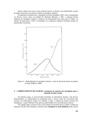 Outros solutos tais como os íons minerais móveis no floema, são redistribuídos a partir 
146 
de folhas senescentes, de maneira similar ao nitrogênio orgânico. 
É importante relembrar que o nitrogênio na forma inorgânica (NO3 
-) não é transportado 
via floema. Como vimos na unidade IV (Nutrição Mineral), o NO3 
- e algumas formas 
orgânicas de nitrogênio (amidas e ureídeos) são transportadas das raízes para as folhas, via 
xilema. Na parte aérea, o NO3 
- é assimilado e os compostos orgânicos formados podem ser 
translocados via floema. 
Figura 4 – Redistribuição de nitrogênio durante o ciclo de desenvolvimento de plantas 
de trigo (Hopkins, 2000). 
5 – CARREGAMENTO DO FLOEMA: transporte de açúcares do cloroplasto para o 
elemento de tubo crivado 
Na primeira etapa, as trioses-fosfato formadas na fotossíntese durante o dia devem, 
primeiramente, ser transportadas do cloroplasto para o citosol, onde são convertidos para 
sacarose (ver Fotossíntese, Figura 14). Durante a noite, o carbono do amido estocado nos 
cloroplastos, o qual é liberado como glicose, pode também ser convertido para sacarose. 
Na segunda etapa, sacarose move-se das células do mesofilo para as células vizinhas do 
elemento crivado. Este transporte, referido como transporte à curta distância, pode ocorrer 
 