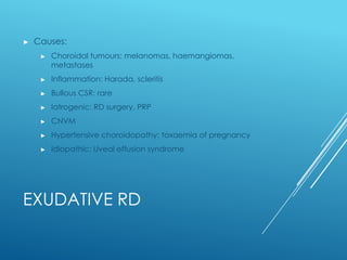 Vitreoretinal pathology (shared using VisualBee) | PPTX