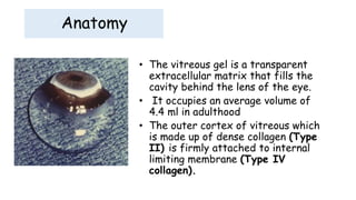 Anatomy
• The vitreous gel is a transparent
extracellular matrix that fills the
cavity behind the lens of the eye.
• It occupies an average volume of
4.4 ml in adulthood
• The outer cortex of vitreous which
is made up of dense collagen (Type
II) is firmly attached to internal
limiting membrane (Type IV
collagen).
 