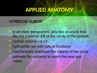 Viterous Humor Function vitreousvvvvvvvvvvvvvvvvvvvvvvvvvvvvvvvvv | PPTX