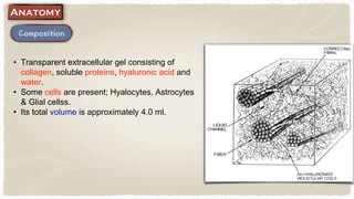 • Transparent extracellular gel consisting of
collagen, soluble proteins, hyaluronic acid and
water.
• Some cells are present; Hyalocytes, Astrocytes
& Glial cellss.
• Its total volume is approximately 4.0 ml.
 