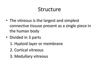Structure
• The vitreous is the largest and simplest
connective tissuse present as a single piece in
the human body
• Divided in 3 parts
1. Hyaloid layer or membrane
2. Cortical vitreous
3. Medullary vitreous
 