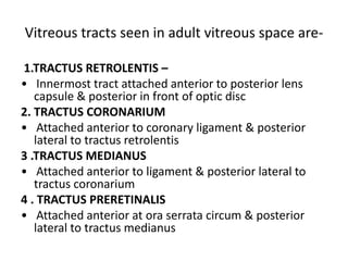 Vitreous tracts seen in adult vitreous space are-
1.TRACTUS RETROLENTIS –
• Innermost tract attached anterior to posterior lens
capsule & posterior in front of optic disc
2. TRACTUS CORONARIUM
• Attached anterior to coronary ligament & posterior
lateral to tractus retrolentis
3 .TRACTUS MEDIANUS
• Attached anterior to ligament & posterior lateral to
tractus coronarium
4 . TRACTUS PRERETINALIS
• Attached anterior at ora serrata circum & posterior
lateral to tractus medianus
 