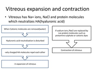 Vitreous expansion and contraction
• Vitreous has Na+ ions, NaCl and protein molecules
which neutralizes HA(hyaluronic acid)
→ expansion of vitreous
-vely charged HA molecules repel each other
Hyaluronic acid neutralization is disturbed
When Cationic molecules are removed(water)
Contraction of vitreous
If sodium ions /NaCl are replaced by
+ve protein molecules such as
protamine sulphate or cationic dyes
 