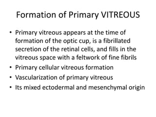 Formation of Primary VITREOUS
• Primary vitreous appears at the time of
formation of the optic cup, is a fibrillated
secretion of the retinal cells, and fills in the
vitreous space with a feltwork of fine fibrils
• Primary cellular vitreous formation
• Vascularization of primary vitreous
• Its mixed ectodermal and mesenchymal origin
 