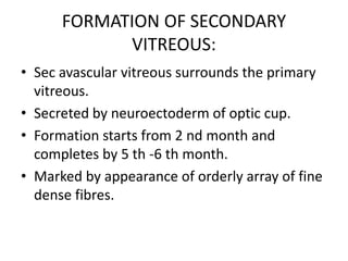 FORMATION OF SECONDARY
VITREOUS:
• Sec avascular vitreous surrounds the primary
vitreous.
• Secreted by neuroectoderm of optic cup.
• Formation starts from 2 nd month and
completes by 5 th -6 th month.
• Marked by appearance of orderly array of fine
dense fibres.
 