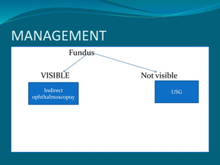 MANAGEMENT
Fundus
VISIBLE Not visible
Indirect
ophthalmoscopuy
USG
 