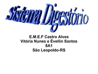 E.M.E.F Castro Alves 
Vitória Nunes e Évellin Santos 
8A1 
São Leopoldo-RS 
 