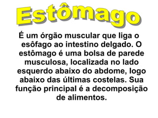 É um órgão muscular que liga o 
esôfago ao intestino delgado. O 
estômago é uma bolsa de parede 
musculosa, localizada no lado 
esquerdo abaixo do abdome, logo 
abaixo das últimas costelas. Sua 
função principal é a decomposição 
de alimentos. 
 
