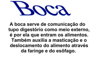 A boca serve de comunicação do 
tupo digestório como meio externo, 
é por ela que entram os alimentos. 
Também auxilia a masticação e o 
deslocamento do alimento através 
da faringe e do esôfago. 
 