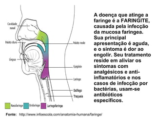 A doença que atinge a 
faringe é a FARINGITE, 
causada pela infecção 
da mucosa faringea. 
Sua principal 
apresentação é aguda, 
e o sintoma é dor ao 
engolir. Seu tratamento 
reside em aliviar os 
sintomas com 
analgésicos e anti-inflamatórios 
Fonte: http://www.infoescola.com/anatomia-humana/faringe/ 
e nos 
casos de infecção por 
bactérias, usam-se 
antibióticos 
específicos. 
 