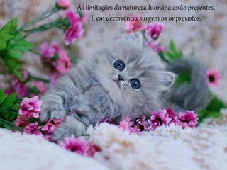 As limitações da natureza humana estão presentes,
E em decorrência surgem os imprevistos.
 