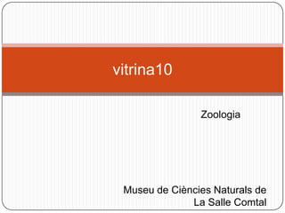 Zoologia
vitrina10
Museu de Ciències Naturals de
La Salle Comtal
 