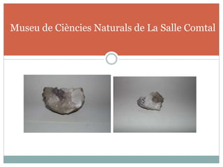 Museu de Ciències Naturals de La Salle Comtal
 