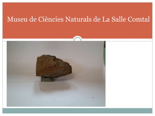 Museu de Ciències Naturals de La Salle Comtal
 