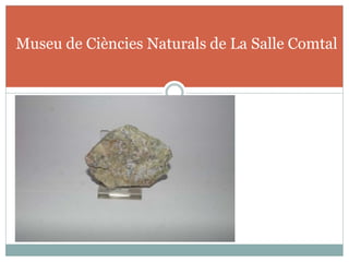 Museu de Ciències Naturals de La Salle Comtal
 