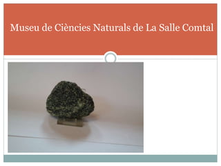 Museu de Ciències Naturals de La Salle Comtal
 