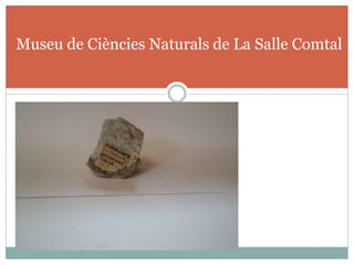 Museu de Ciències Naturals de La Salle Comtal
 