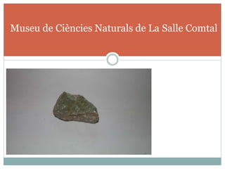 Museu de Ciències Naturals de La Salle Comtal
 