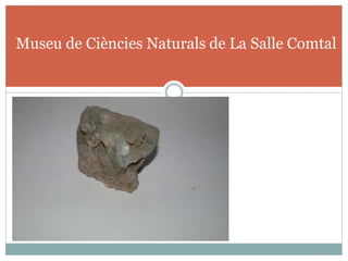 Museu de Ciències Naturals de La Salle Comtal
 