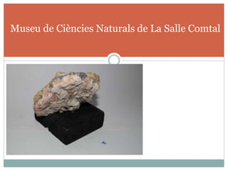 Museu de Ciències Naturals de La Salle Comtal
 