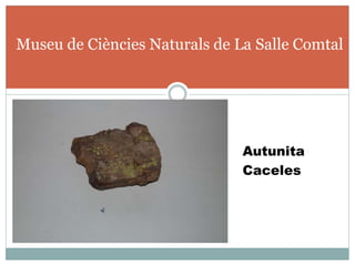 Autunita
Caceles
Museu de Ciències Naturals de La Salle Comtal
 