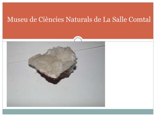 Museu de Ciències Naturals de La Salle Comtal
 