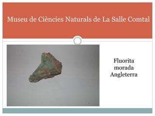 Fluorita
morada
Angleterra
Museu de Ciències Naturals de La Salle Comtal
 