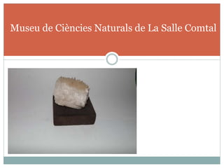 Museu de Ciències Naturals de La Salle Comtal
 