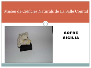 SOFRE
SICÍLIA
Museu de Ciències Naturals de La Salle Comtal
 